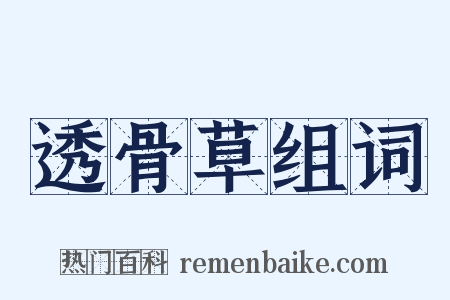 透骨草组词是什么意思的图片